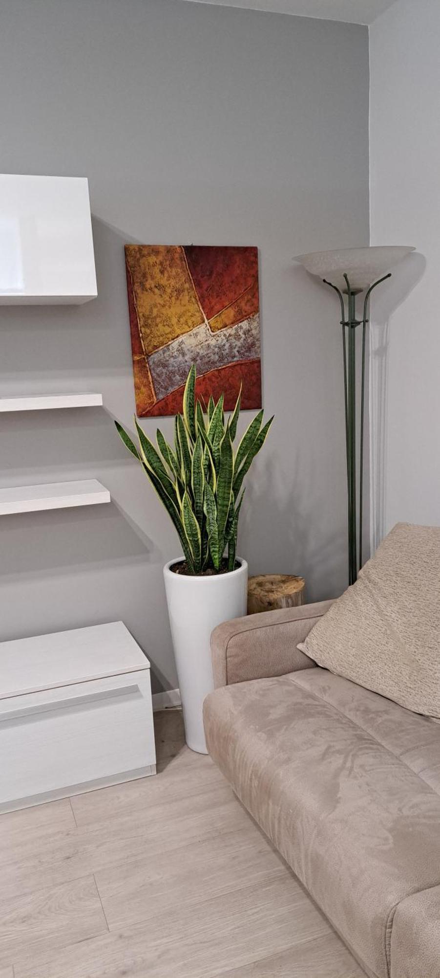 Marco Venice Apartment Екстериор снимка